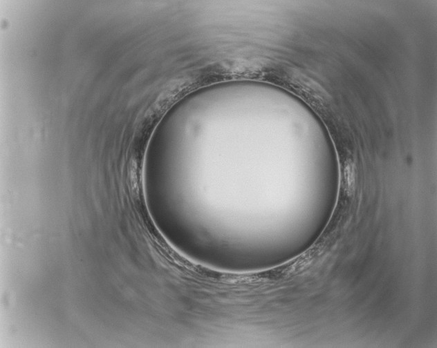 X0000059850963200511111807