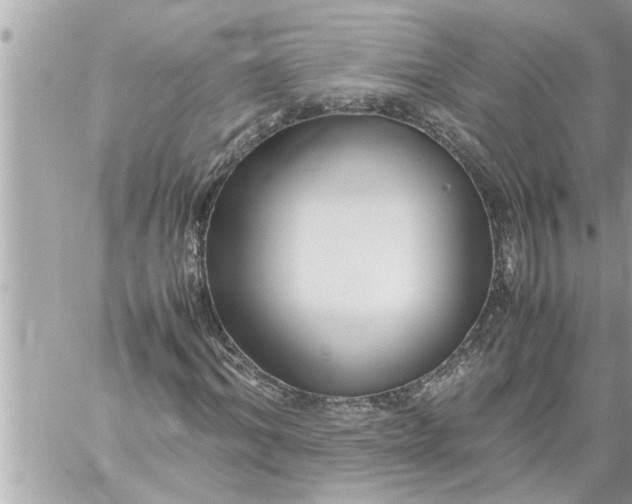 X0000059850964200511111807