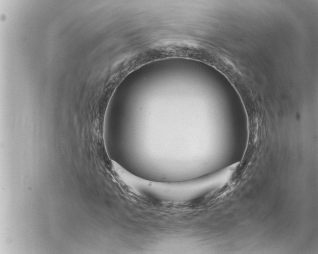 X0000059850965200511111807