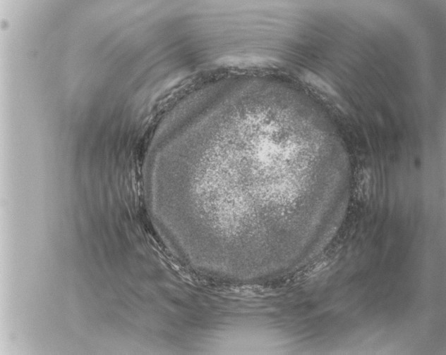 X0000059850966200511111807