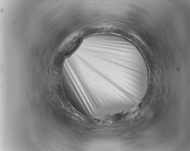 X0000059850967200511111807