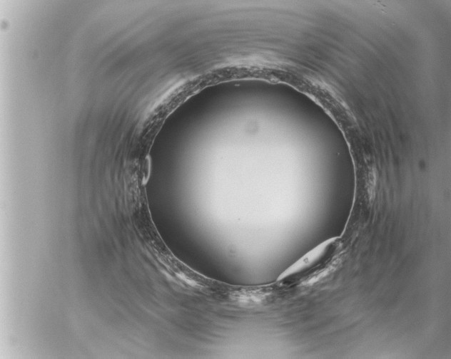 X0000059850968200511111807