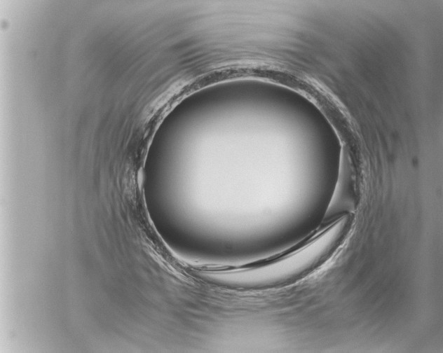 X0000059850969200511111807