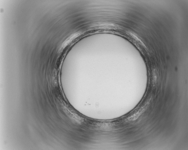 X0000059850970200511111807