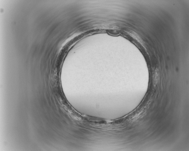 X0000059850971200511111807