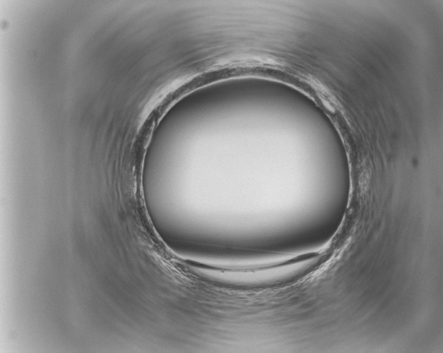 X0000059850973200511111807