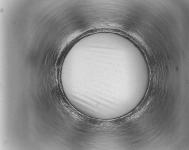 X0000059850974200511111807