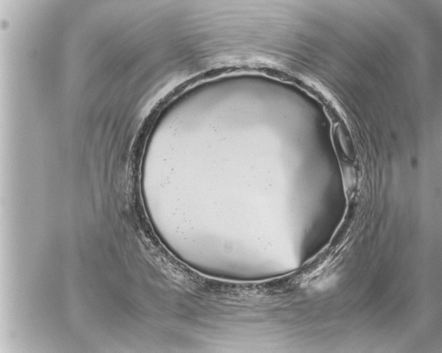 X0000059850975200511111807