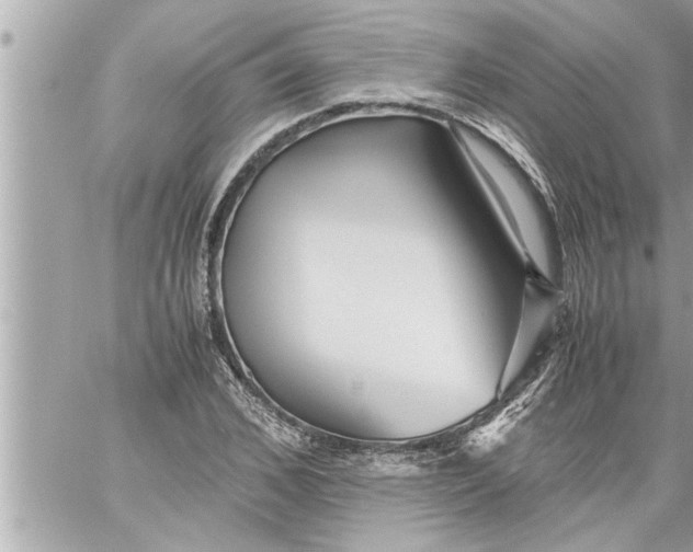 X0000059850976200511111807