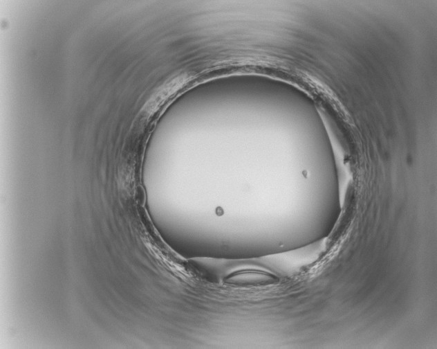 X0000059850977200511111807