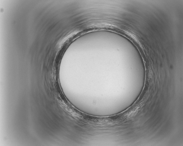 X0000059850979200511111806