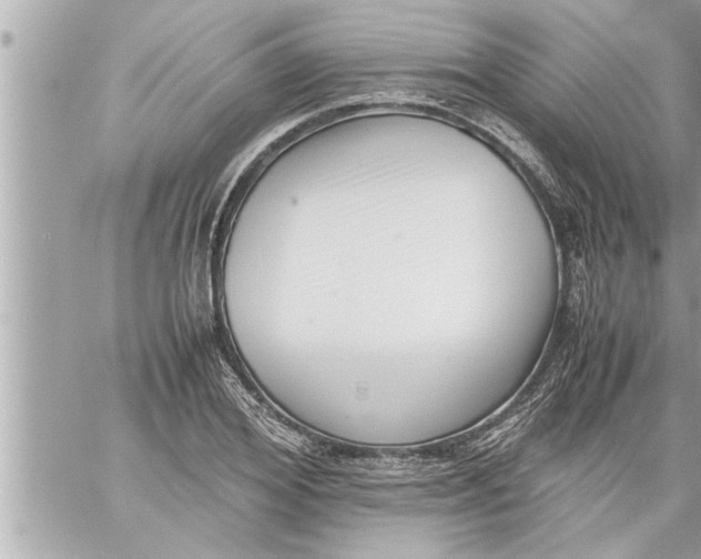 X0000059850980200511111806