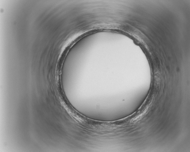 X0000059850981200511111806