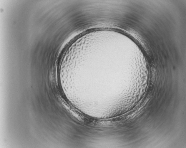 X0000059850982200511111806