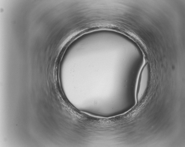 X0000059850983200511111806