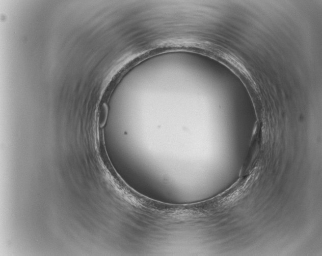 X0000059850984200511111806