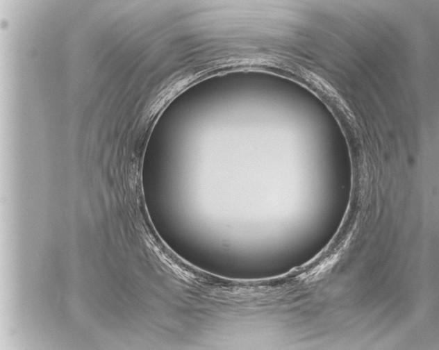 X0000059850985200511111806