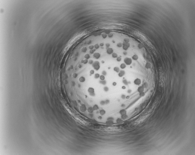 X0000059850986200511111806