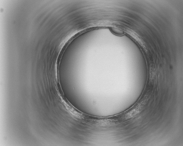 X0000059850988200511111806