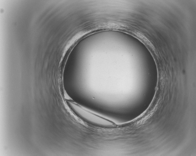 X0000059850989200511111806