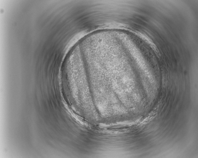 X0000059850990200511111806