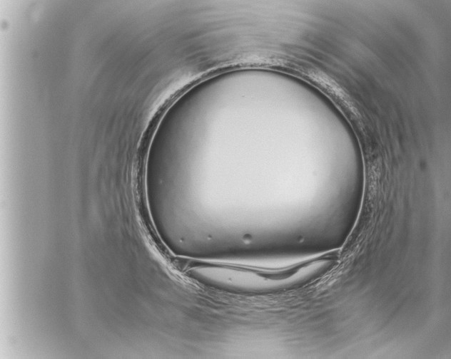 X0000059850991200511111806