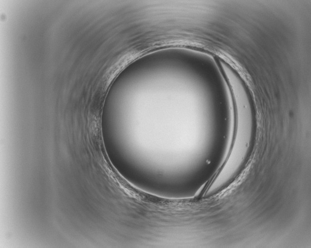 X0000059850993200511111806