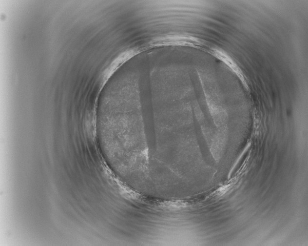 X0000059850994200511111806