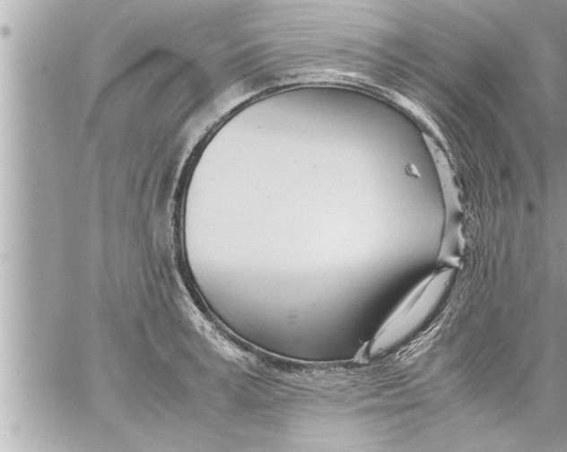 X0000059850995200511111806