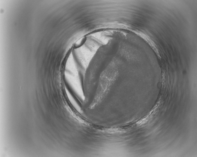 X0000059850998200511111806