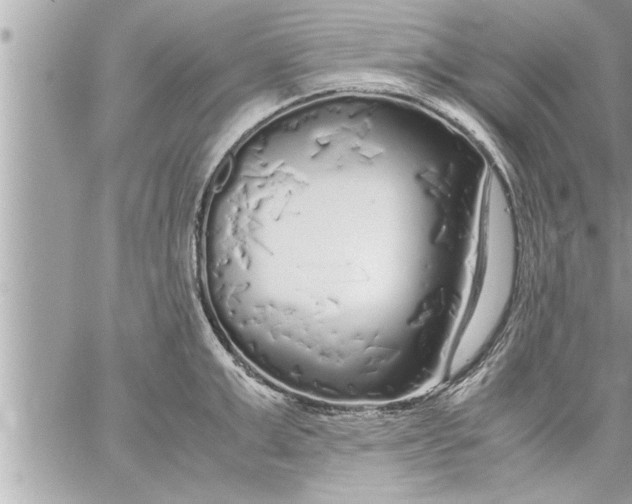 X0000059850999200511111806