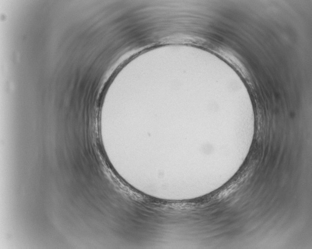 X0000059851000200511111806