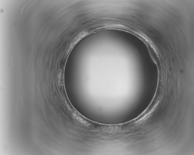 X0000059851001200511111806