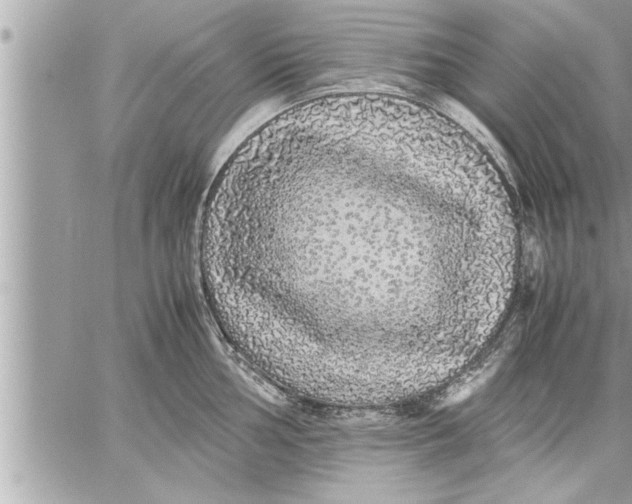 X0000059851002200511111806