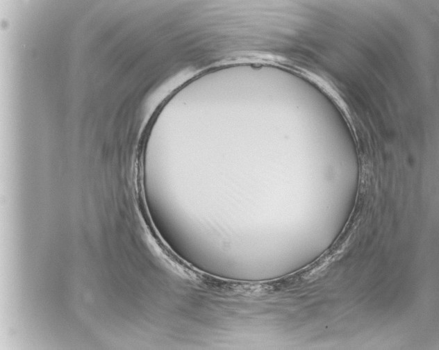 X0000059851003200511111806