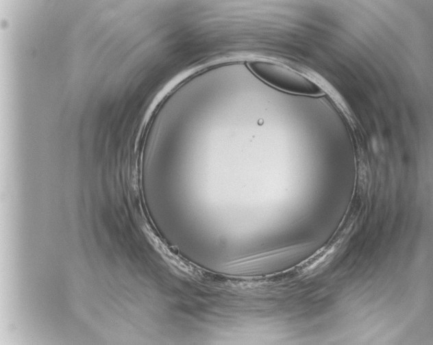 X0000059851004200511111806