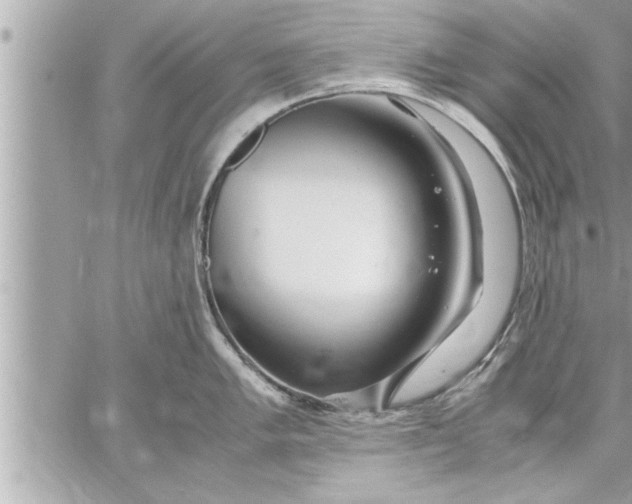 X0000059851005200511111806