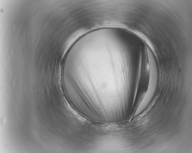 X0000059851006200511111806