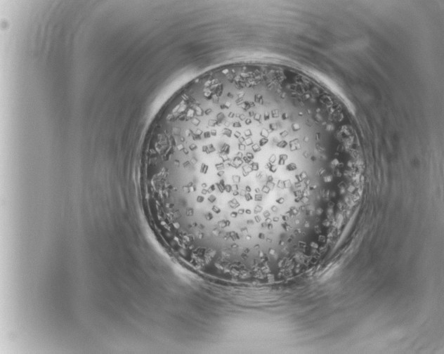 X0000059851007200511111806