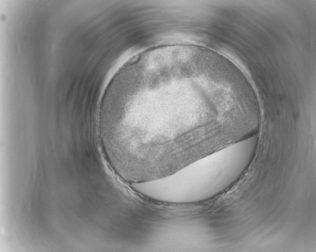 X0000059851008200511111806