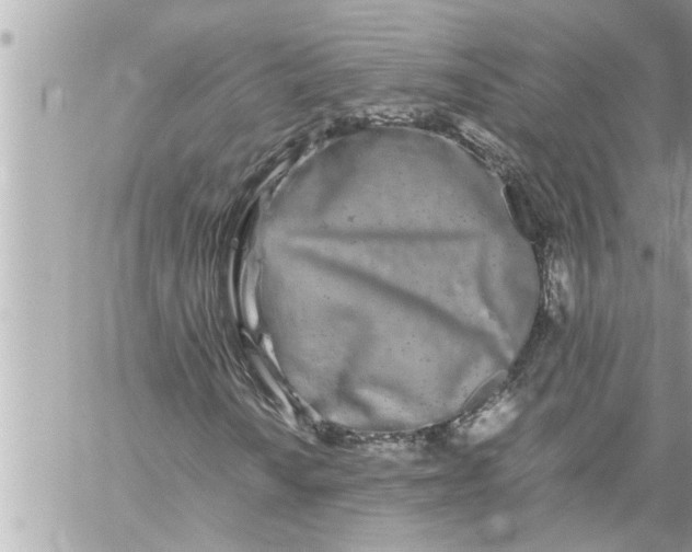 X0000059851010200511111805