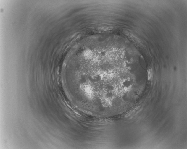 X0000059851011200511111805