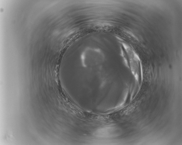 X0000059851013200511111805