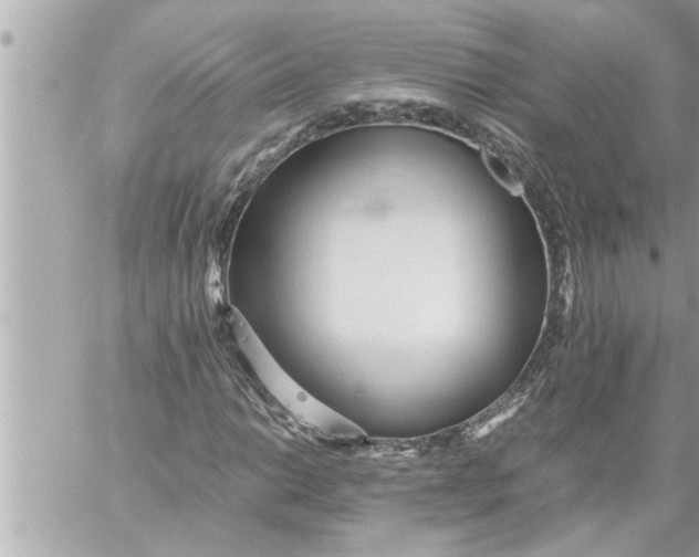 X0000059851014200511111805