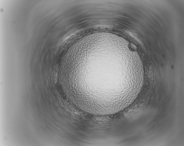 X0000059851015200511111805