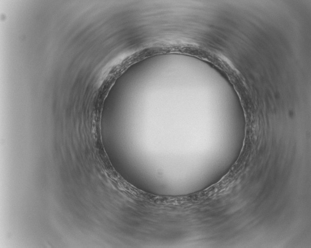 X0000059851016200511111805