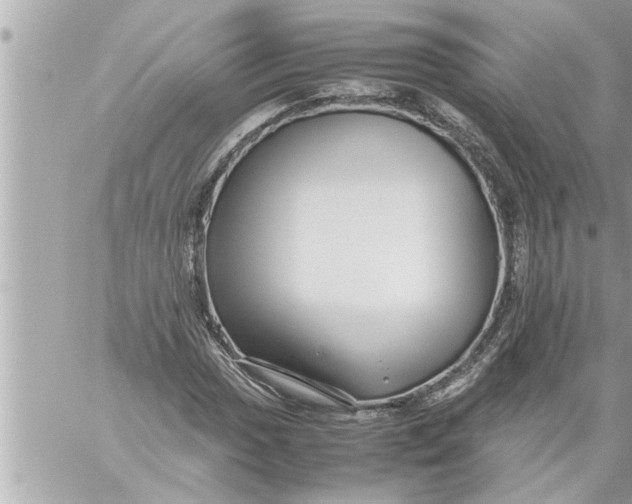 X0000059851017200511111805