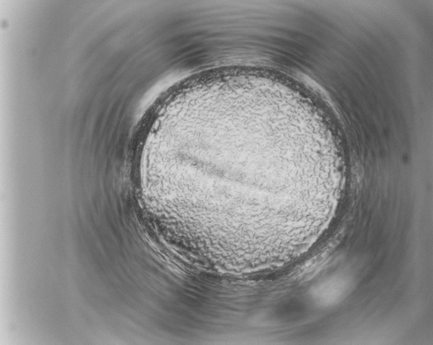 X0000059851019200511111805