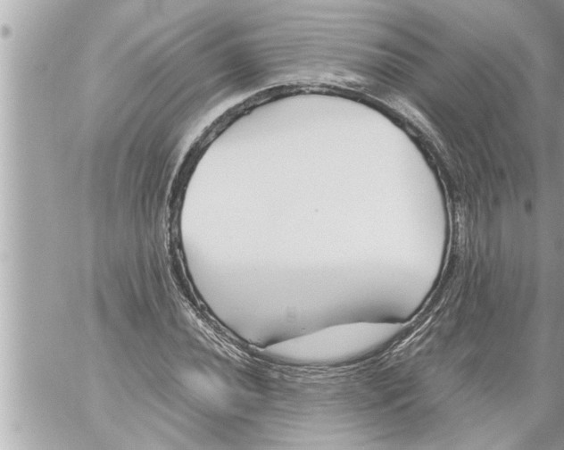 X0000059851020200511111805