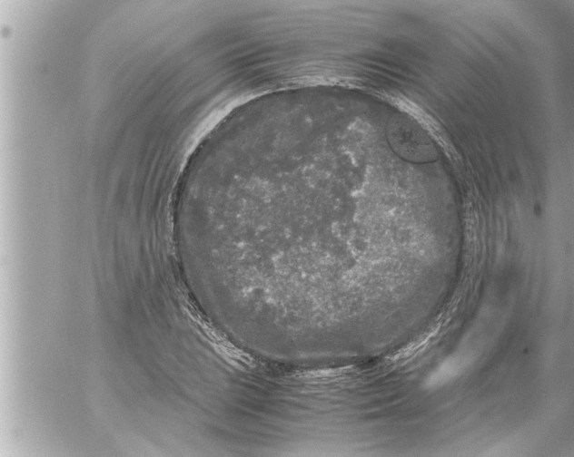 X0000059851023200511111805